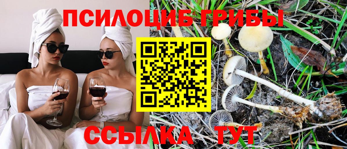 Лениногорск  Галлюциногенные грибы MAGIC MUSHROOMS  закладки  Псилоцибиновые грибы GOLDEN TEACHER  Вход с VPN 