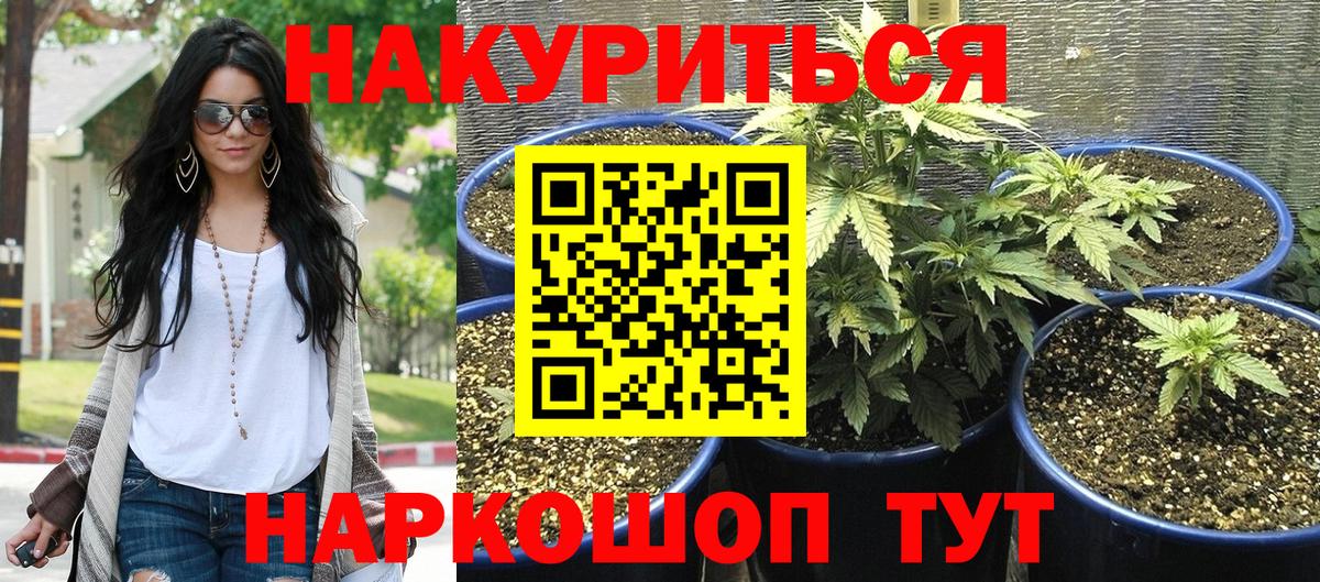 Бошки марихуана Amnesia Лениногорск